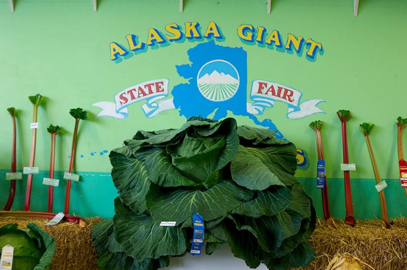 Alaskan State Fair