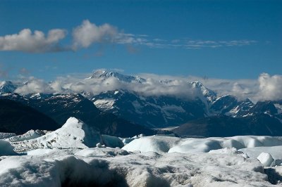 A Sea of Icebergs