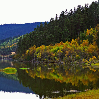 Autumn colours at Shudu Lake