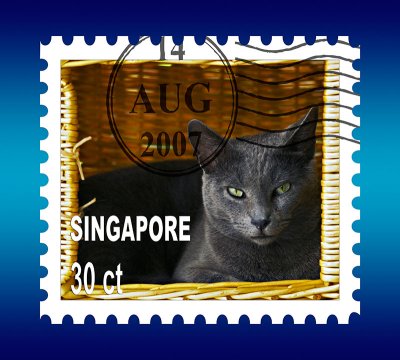 TongTong Stamp