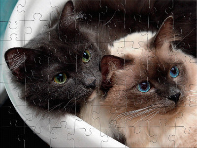 Loki & Willy Jigsaw Puzzle