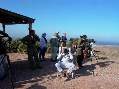 Birders watching raptor migration at the Cazalla point (Tarifa) - Observando la migracin de rapaces en el Estrecho de Gibraltar