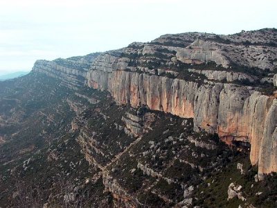 Birding in the Tarragona mountain chains of Montsant and Llaberia - Cataluña