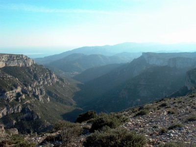 Birding in Llaberia Mountains