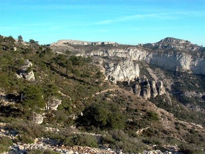 Birding in Llaberia Mountains