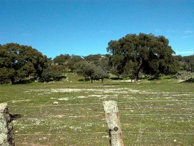 Parque Natural de Andjar - Sierra Morena - Jaen