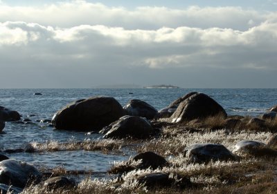 Rocks on a frozen beach