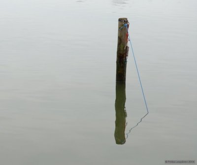 Sunk