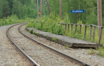 Putikko