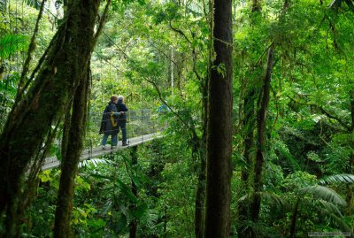 People on a suspension bridge