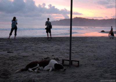 Manuel Antonio beach at sunset III
