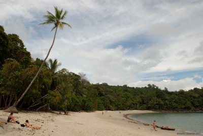 Manuel Antonio natural park IV