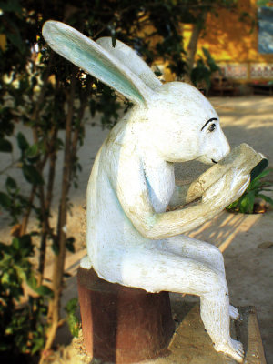 Kampong Cham. A scholarly Rabbit ?