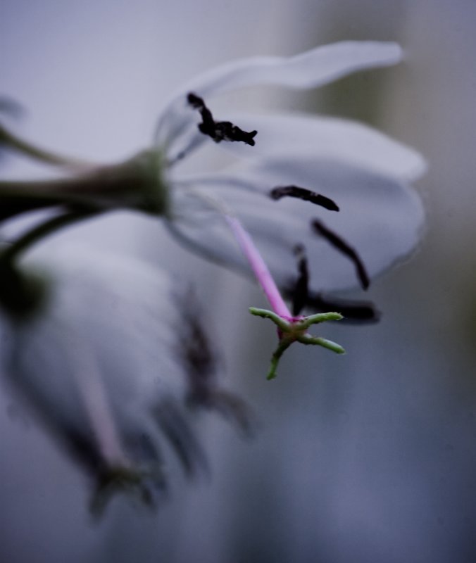 reaching