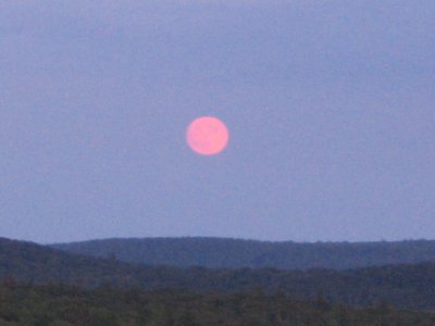 IMG_0766.JPG