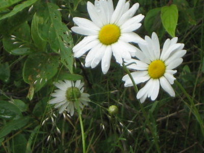 IMG_0866.JPG