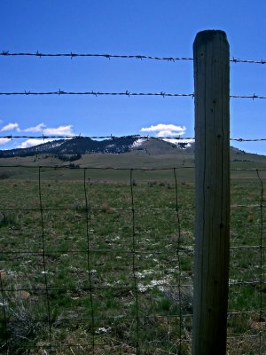 g6/43/519843/3/80417851.z1luYsdM.jpg