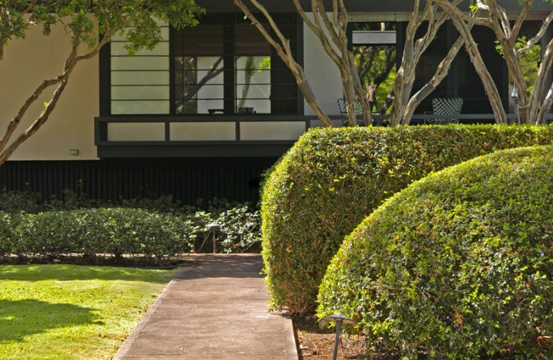 acad front green thru house.jpg