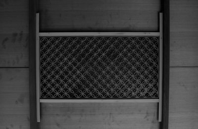 DSC_0378 light fixture bw.jpg