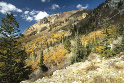 Wasatch Mts & Fall colors 4236.jpg
