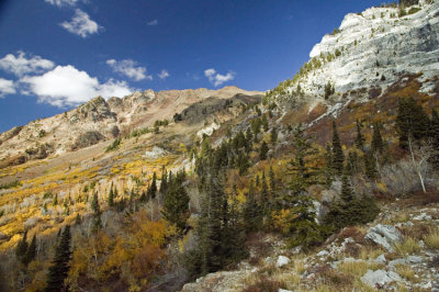 Wasatch Mts Rocks & Fall colors 4235.jpg