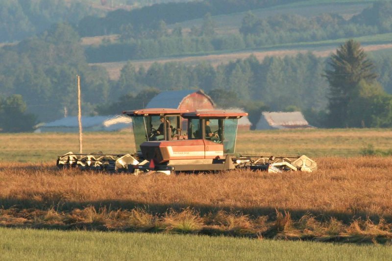 Double Ended Swather