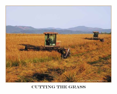 Cutting the Grass