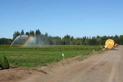 Irrigation Rainbow