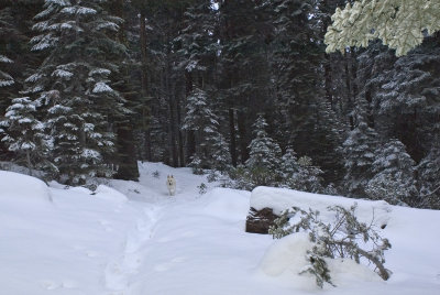 My first time in snow (Mt. Ashland, Oregon)