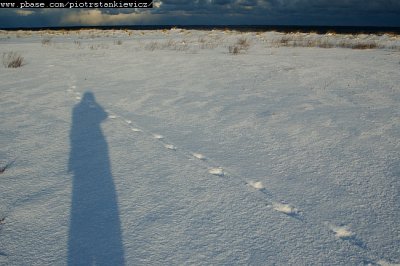 g6/43/588543/3/74048740.rgUuLZ57.jpg