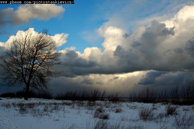 g6/43/588543/3/74048748.C7sRctcR.jpg