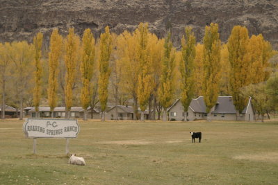 roaring spings ranch in eastern oregon