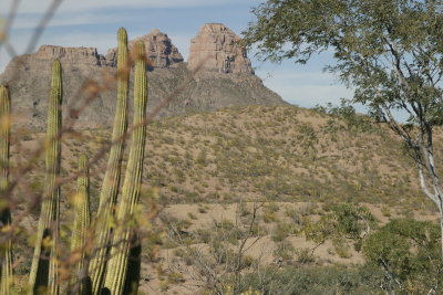 Along the road to Agua Verde