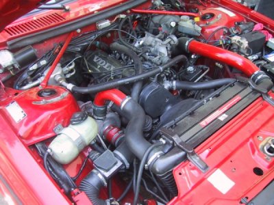 my motor with red pipes & stock IC