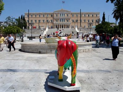 Cow in Athen-5941.jpg
