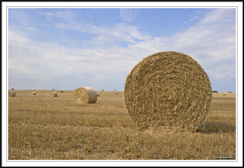 Never ending fields!