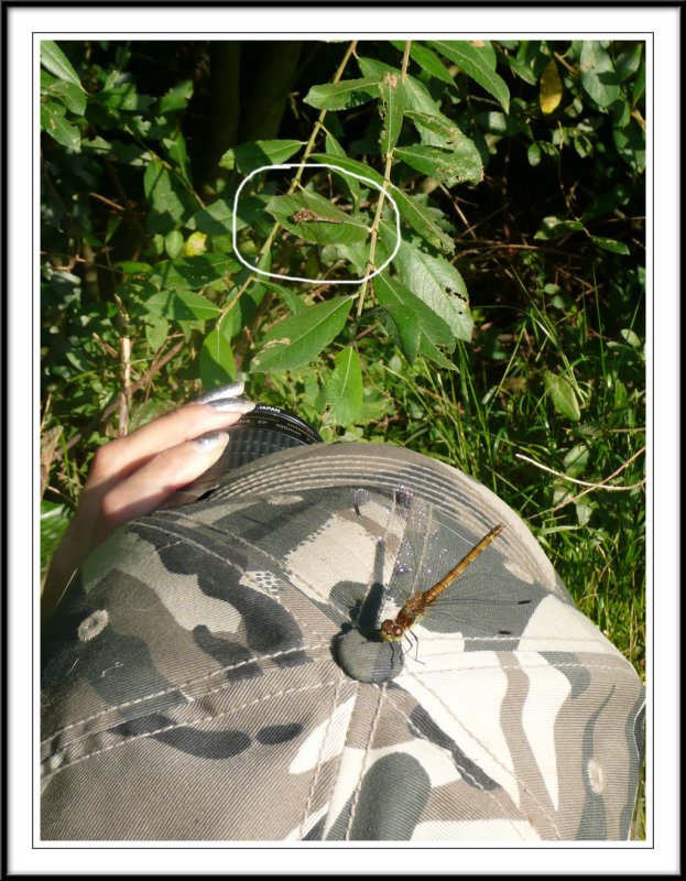 My hat!