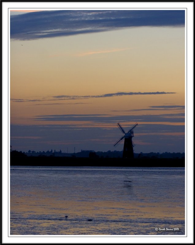 Sunset of blue and gold!