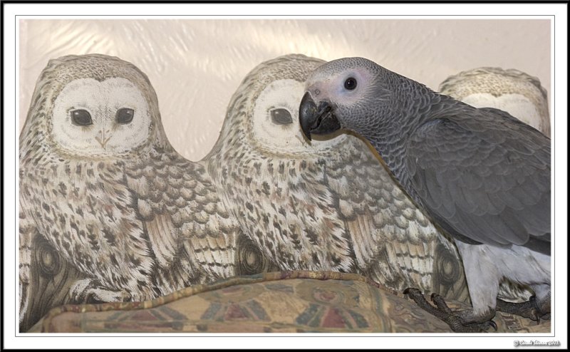 Are you my Mummy and Daddy...?