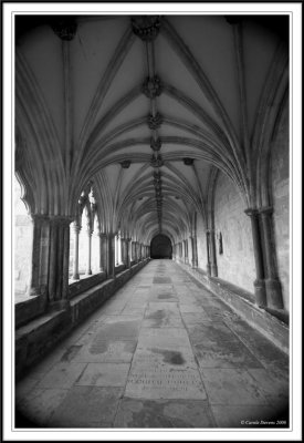 The Cloisters!
