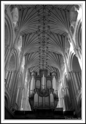 The organ pipes!