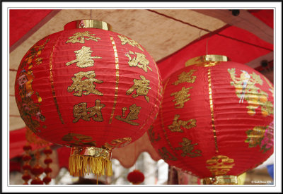 Chinese lanterns!