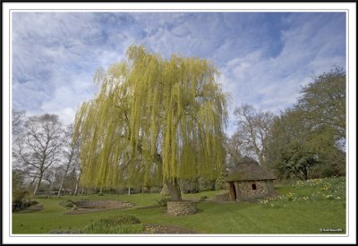 Bressingham Gardens!