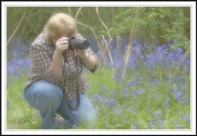Shooting the bluebells!
