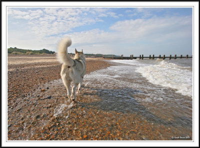 This way Mum!