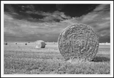 Infra-red haybales!