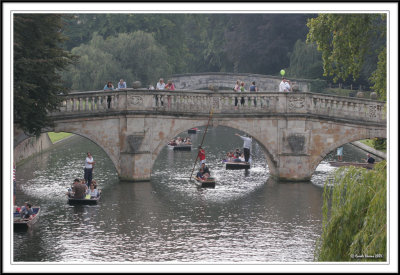 Bridges of Cambridge!