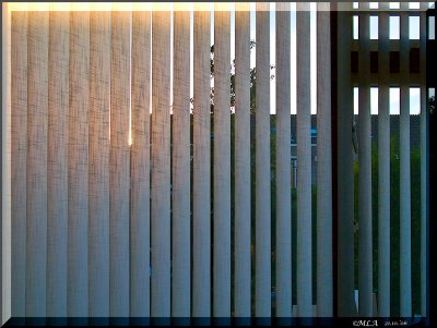 Morningsun peeping through 21 slats of the blinds