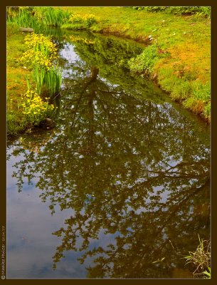 april 20th: Green Reflections