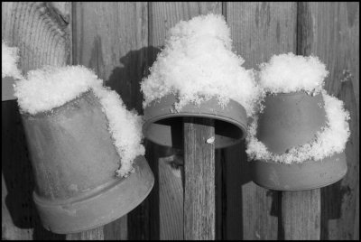 Snow Capped Pots-2